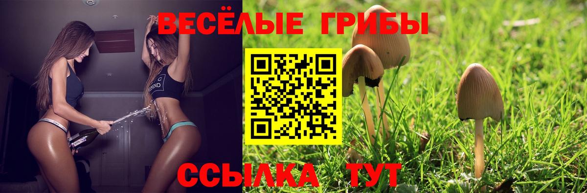 Псилоцибиновые грибы Cubensis  Вход с VPN  что такое наркотик  Карпинск 